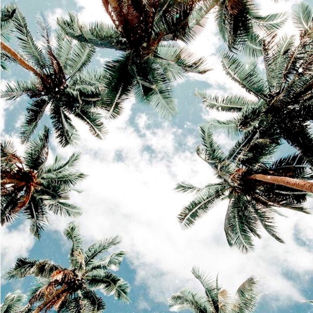 Meet your Posher, Alicia